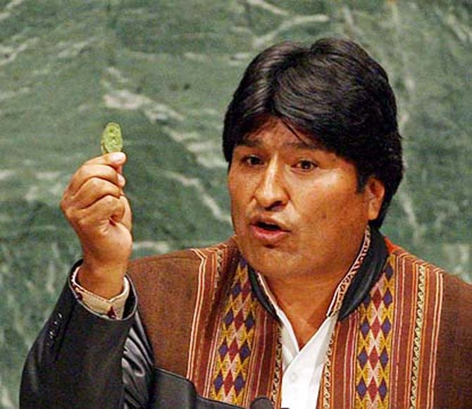 Evo Morales exibe, na Assembleia Geral da ONU, folha de coca. Presidente recusou-se a manter política de erradicação violenta dos cultivos, "exigida" pelos EUA