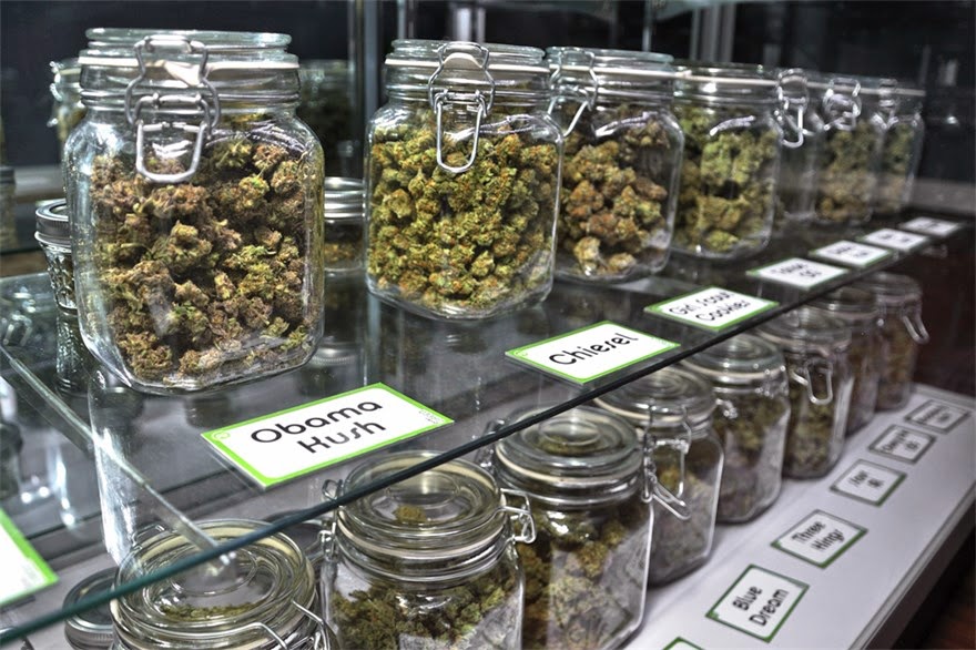 Comércio legal de cannabis em Montevidéu: a lei e a população aprovam; o Itaú quer fechar