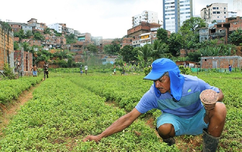 Agricultura Urbana: agroecologia, alimentação, saúde e bem-estar