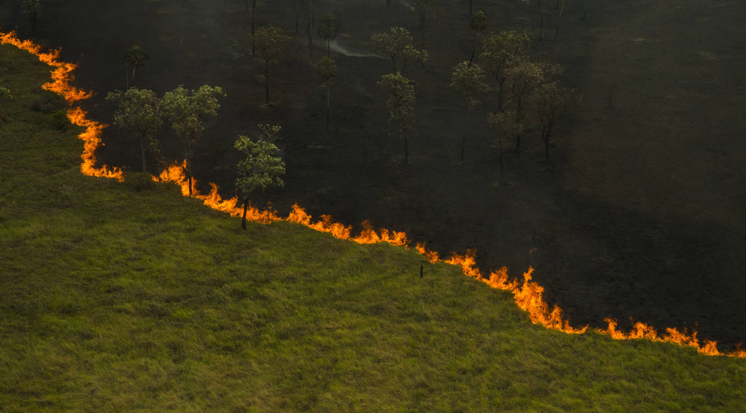 Crise climática: seca severa na Amazônia é agravada por desmatamento e fogo