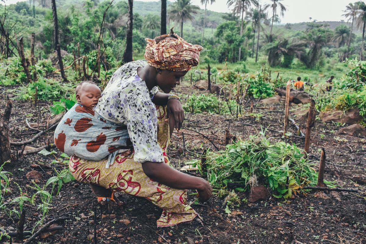 Agricultura Familiar de Base Agroecológica, Gênero e Resistência