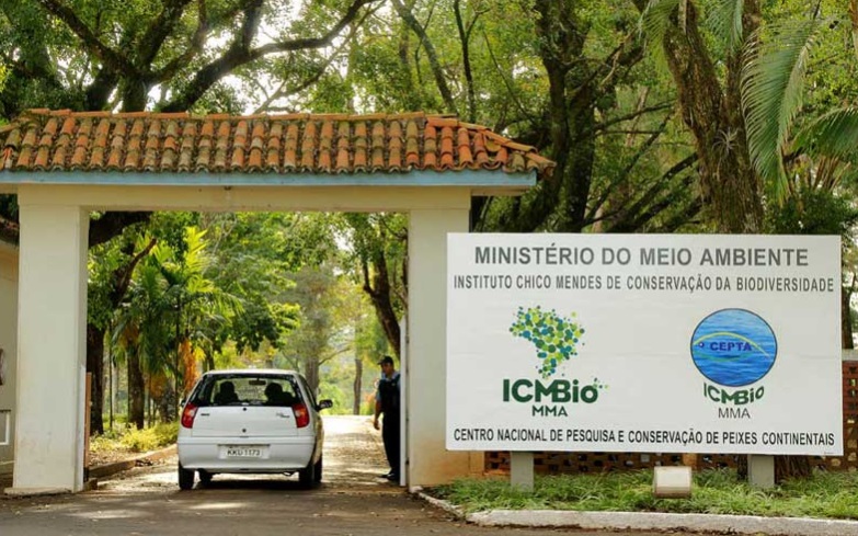 Chico Mendes: uma luta pelo meio ambiente e pela humanidade