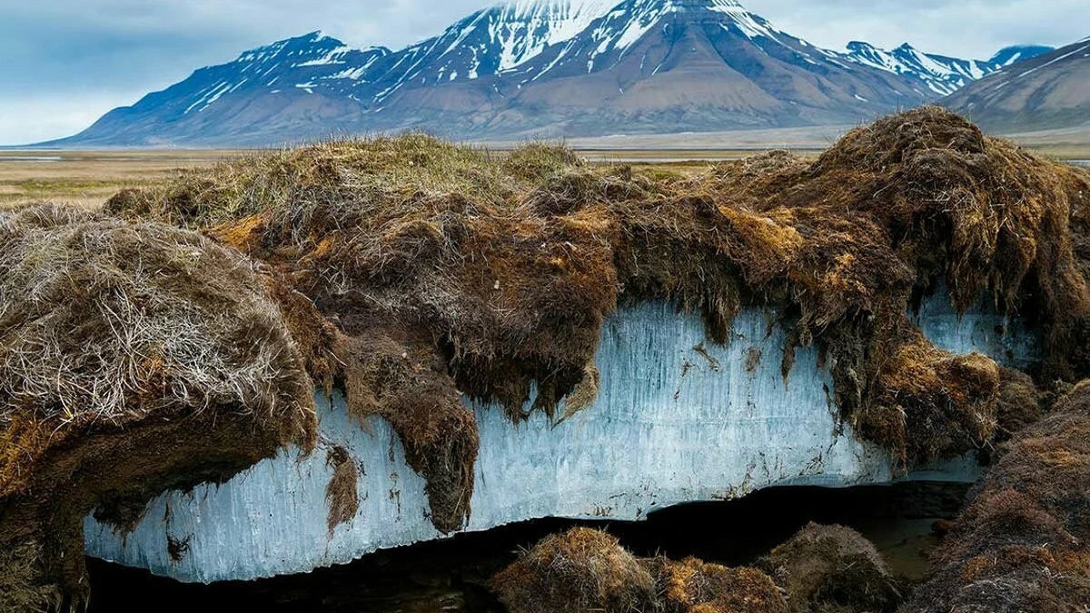 Tundra - Só Geografia