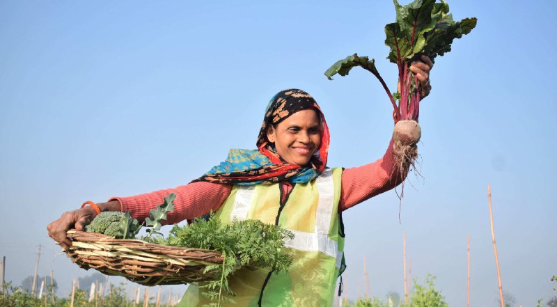 Agricultura Urbana: agroecologia, alimentação, saúde e bem-estar