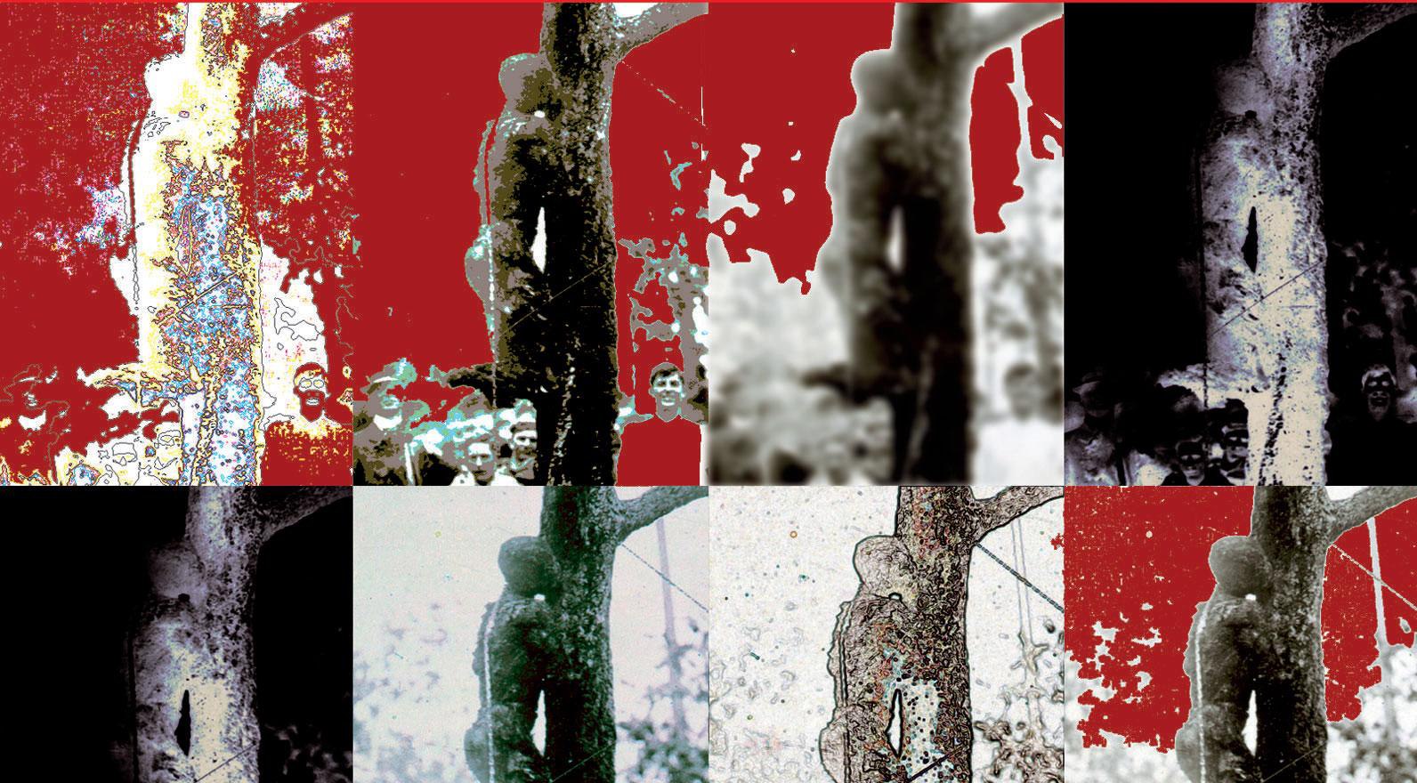 Cheryl Hines Discusses RFK and Hollywood Opinions, image size:1592x880