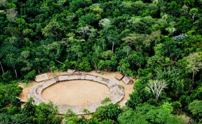 Já atingimos ponto de não retorno em algumas regiões da Amazônia, diz  pesquisadora - Agência Pública