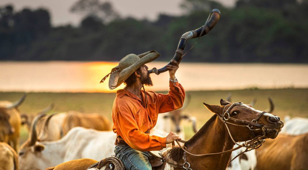 Pantanal com Crianças  O que levar e quando ir - Vestida de Mãe