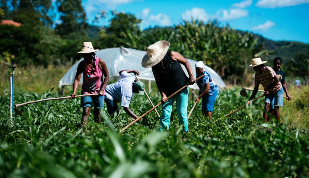 Caminhos para mudar a agricultura brasileira - Outras Palavras