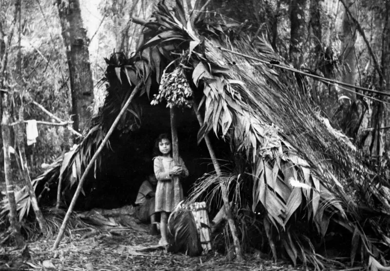 Criança Xokleng em acampamento na floresta, em 1963